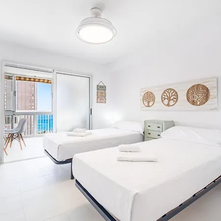 Albatros 13-8 Estudio Levante *