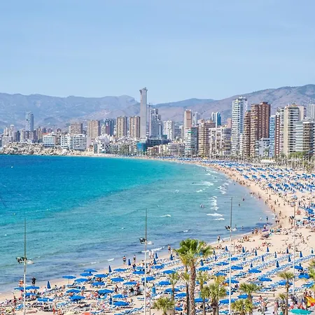 Albatros 13-8 Estudio Levante Apartmán Benidorm